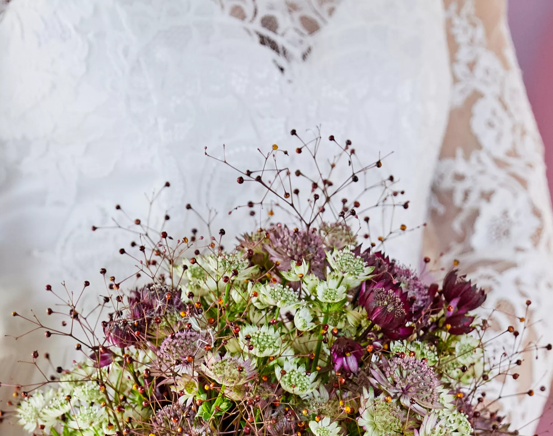 Talinum 'Long John' en Astrantia