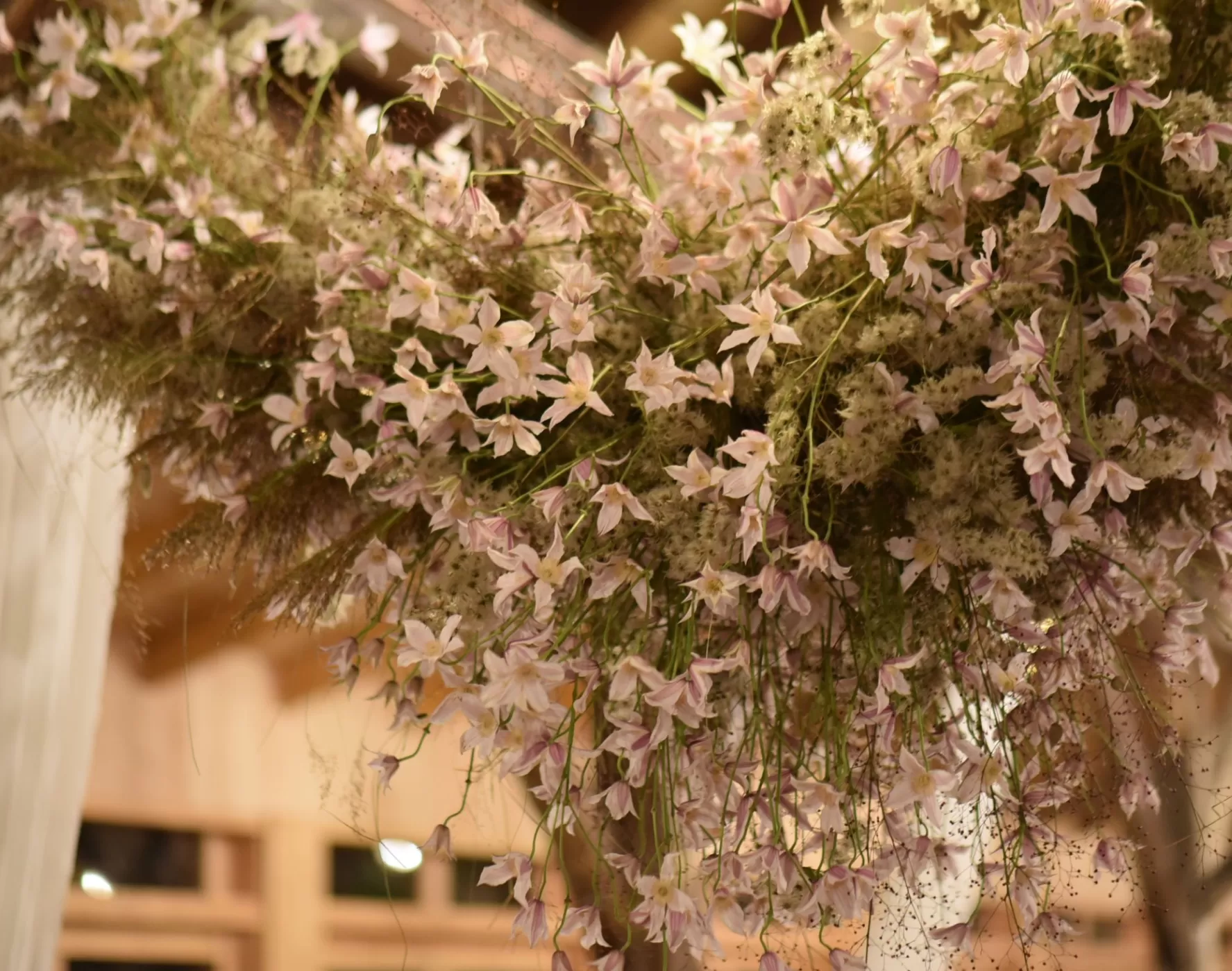 clematis floral cloud