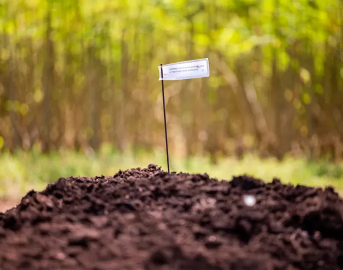 Soil health - Marginpar