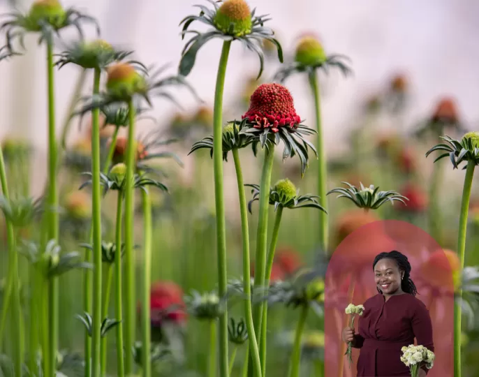 Angeline Gitau post-harvest manager