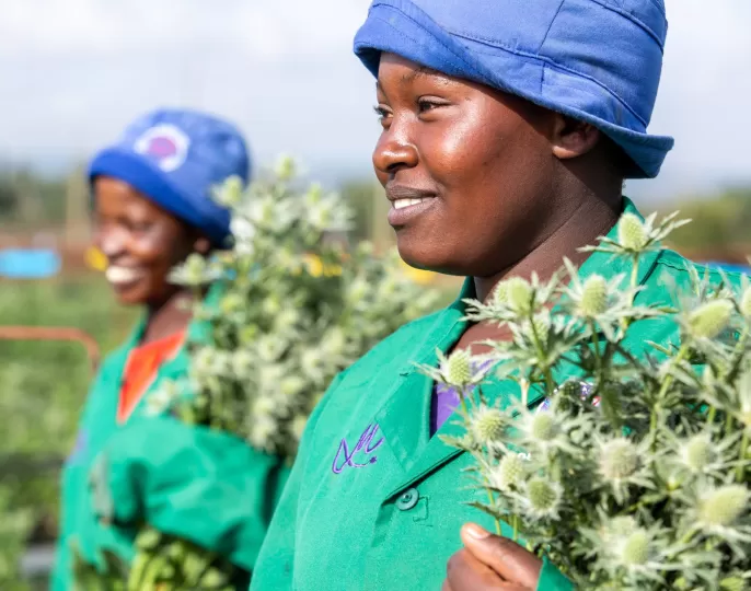 Frequently asked questions - sustainability