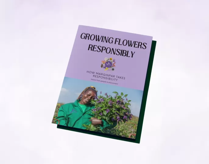 Growing flowers responsibly 
