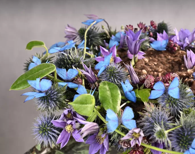 Held_Flüsternde_Flügel