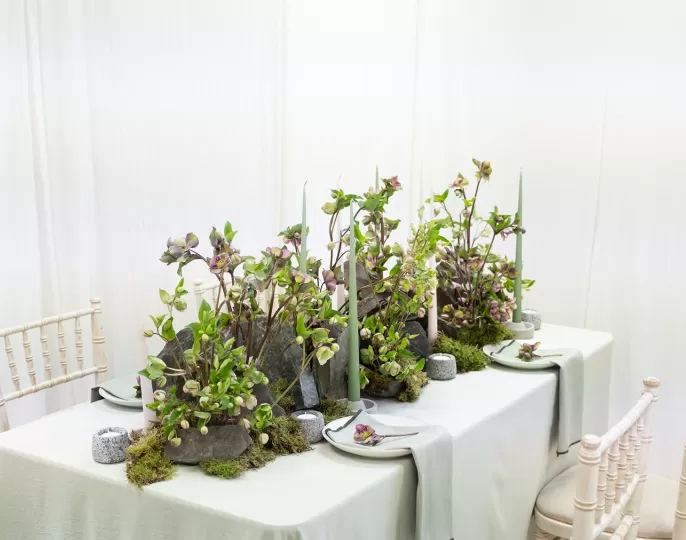 Hellebore DIY table centerpiece