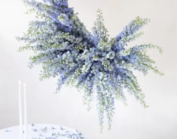 Delphinium Guardian Lavender